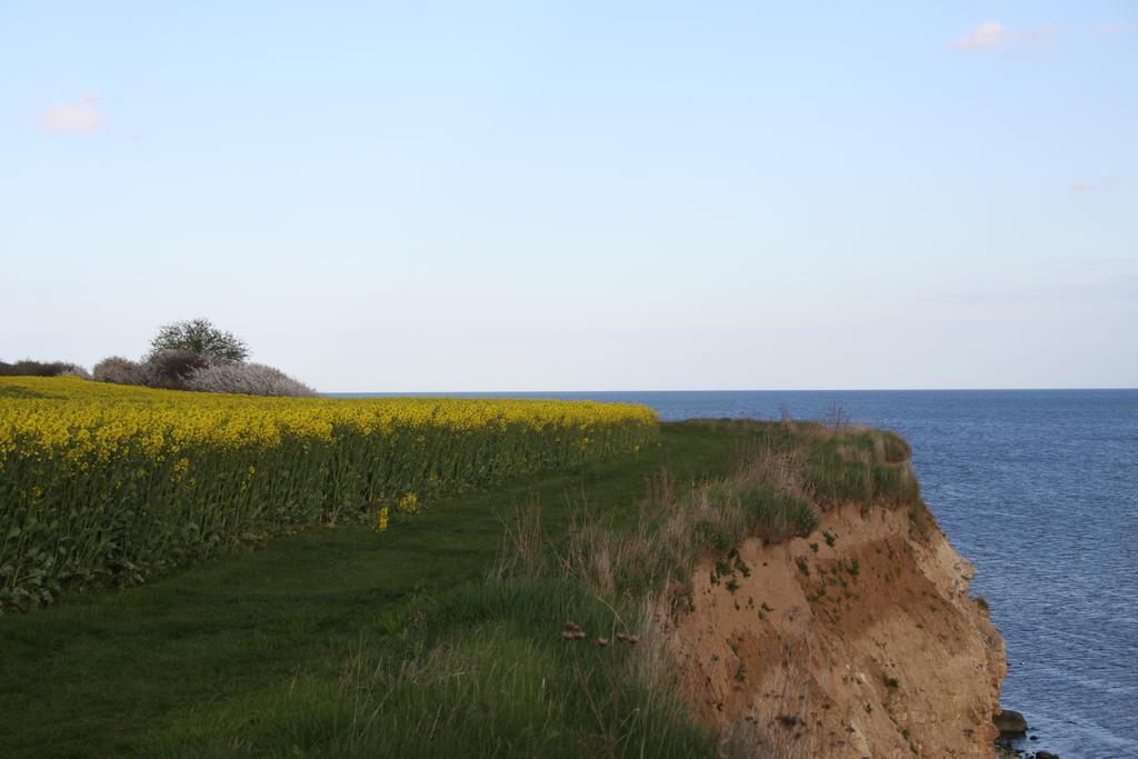 Stevns Klint Strandpension Hotel Rødvig Екстериор снимка