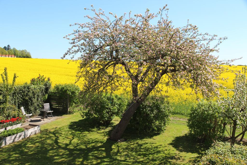 Stevns Klint Strandpension Hotel Rødvig Екстериор снимка